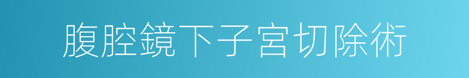 腹腔鏡下子宮切除術的同義詞