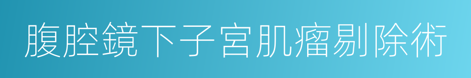 腹腔鏡下子宮肌瘤剔除術的同義詞