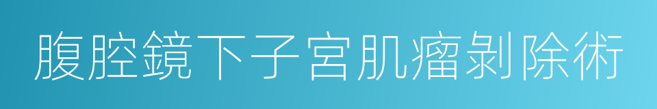 腹腔鏡下子宮肌瘤剝除術的同義詞