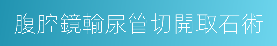 腹腔鏡輸尿管切開取石術的同義詞