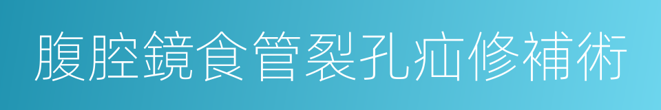 腹腔鏡食管裂孔疝修補術的同義詞