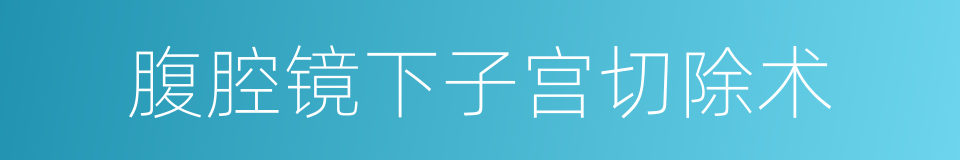腹腔镜下子宫切除术的同义词