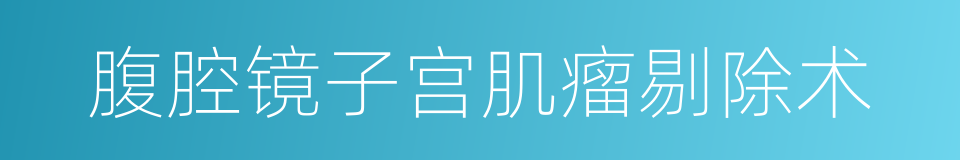 腹腔镜子宫肌瘤剔除术的同义词