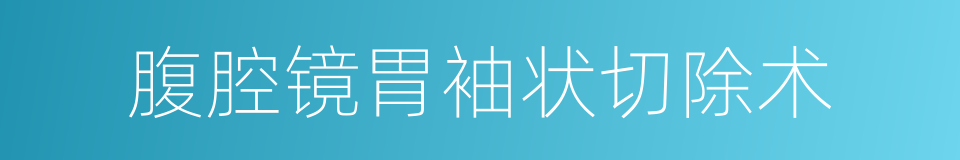 腹腔镜胃袖状切除术的同义词