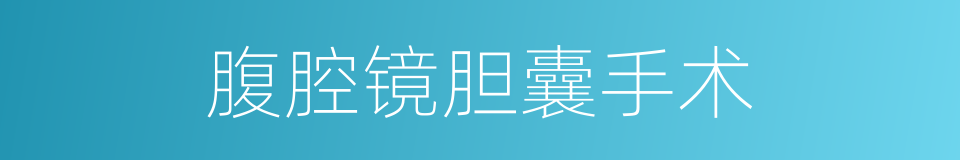 腹腔镜胆囊手术的同义词
