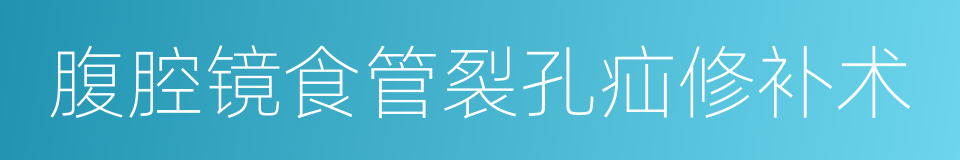 腹腔镜食管裂孔疝修补术的同义词