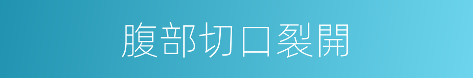 腹部切口裂開的同義詞