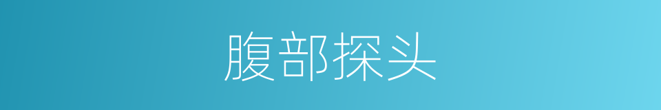 腹部探头的同义词