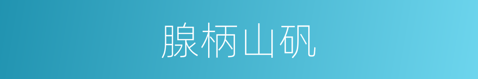 腺柄山矾的同义词