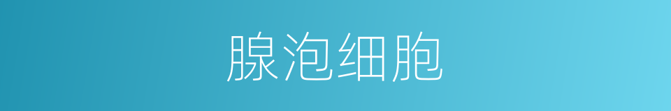 腺泡细胞的同义词