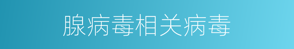 腺病毒相关病毒的同义词