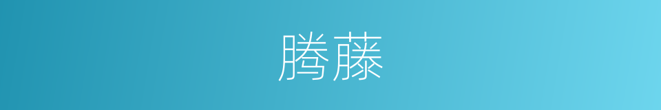 腾藤的同义词