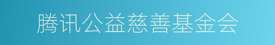 腾讯公益慈善基金会的同义词