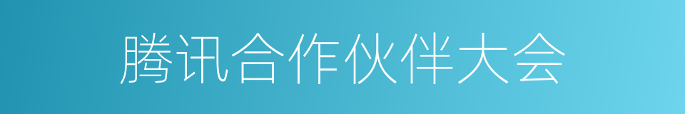 腾讯合作伙伴大会的同义词
