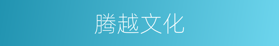 腾越文化的同义词