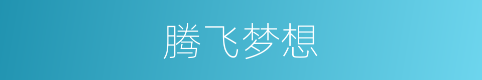 腾飞梦想的同义词