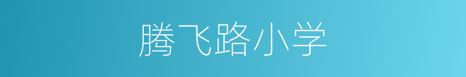 腾飞路小学的同义词