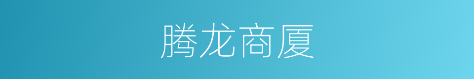 腾龙商厦的同义词