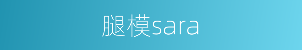 腿模sara的同义词