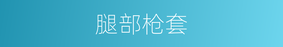 腿部枪套的同义词