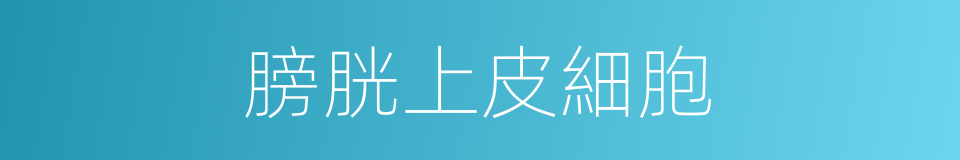 膀胱上皮細胞的同義詞