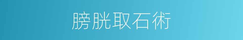 膀胱取石術的同義詞