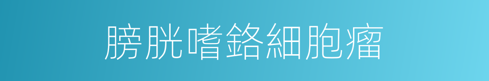 膀胱嗜鉻細胞瘤的同義詞