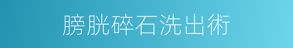 膀胱碎石洗出術的同義詞