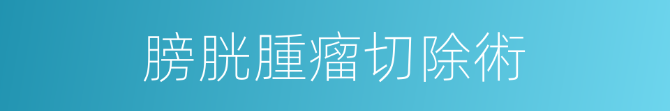 膀胱腫瘤切除術的同義詞