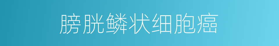 膀胱鳞状细胞癌的同义词