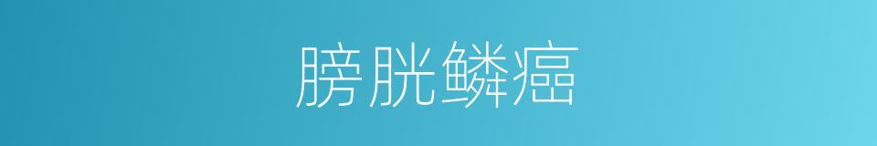 膀胱鳞癌的同义词