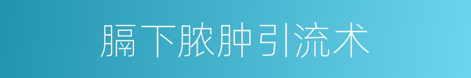 膈下脓肿引流术的同义词