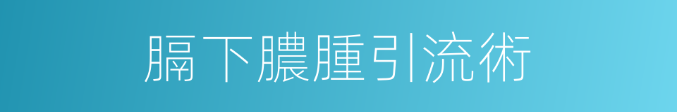 膈下膿腫引流術的同義詞