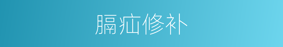 膈疝修补的同义词