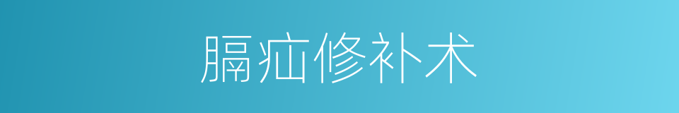 膈疝修补术的同义词