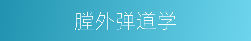 膛外弹道学的同义词