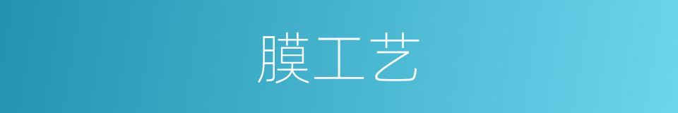 膜工艺的同义词