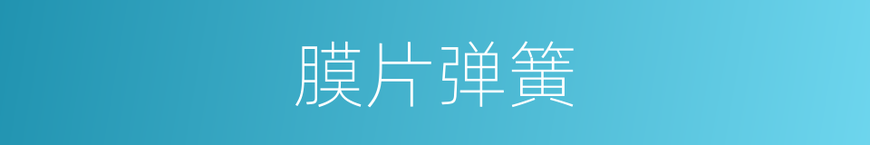 膜片弹簧的同义词