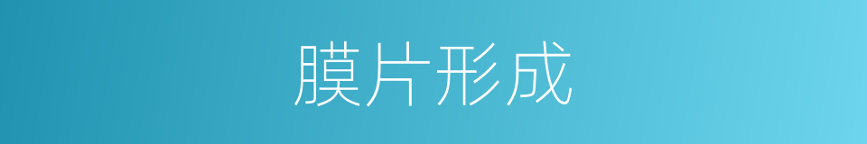 膜片形成的同义词