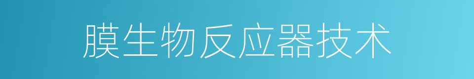 膜生物反应器技术的同义词