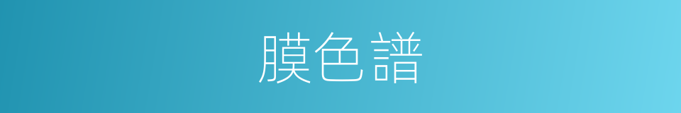 膜色譜的同義詞