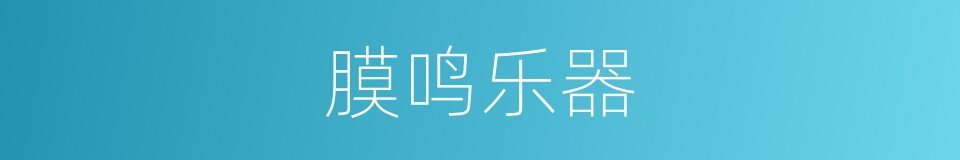 膜鸣乐器的意思