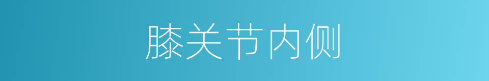 膝关节内侧的同义词