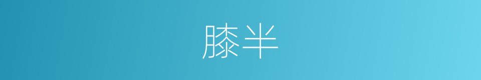 膝半的同义词