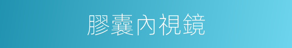 膠囊內視鏡的同義詞