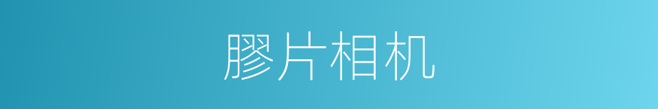 膠片相机的同義詞