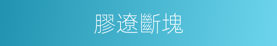 膠遼斷塊的同義詞