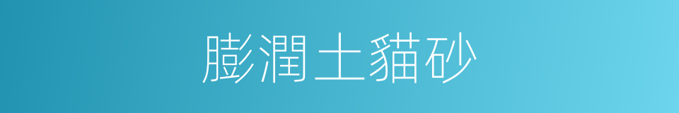 膨潤土貓砂的同義詞