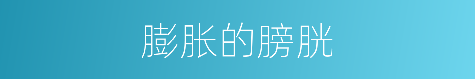 膨胀的膀胱的同义词