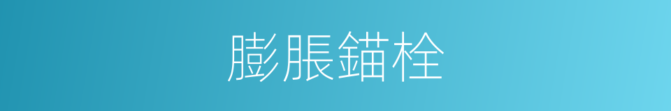 膨脹錨栓的同義詞